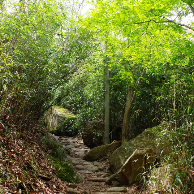 Trail to Cheonghwangsa Temple